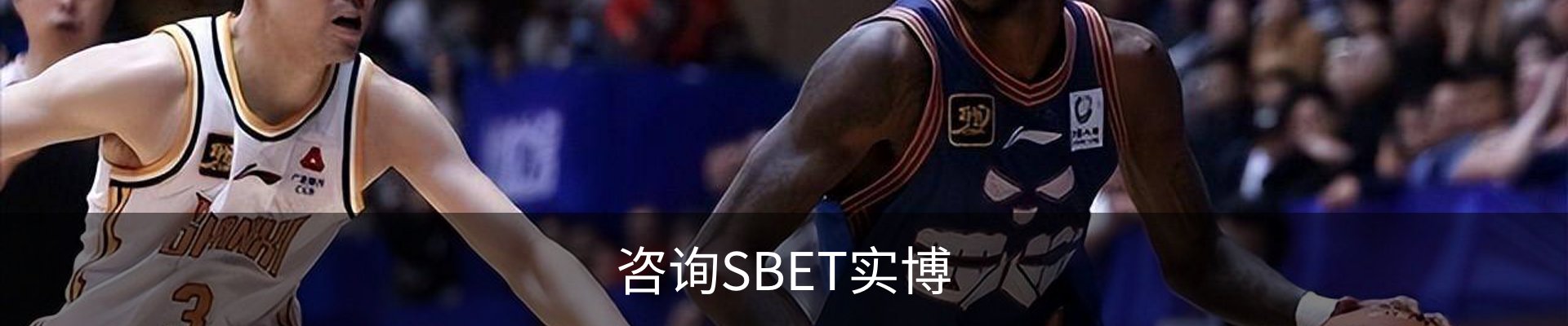 咨询SBET实博