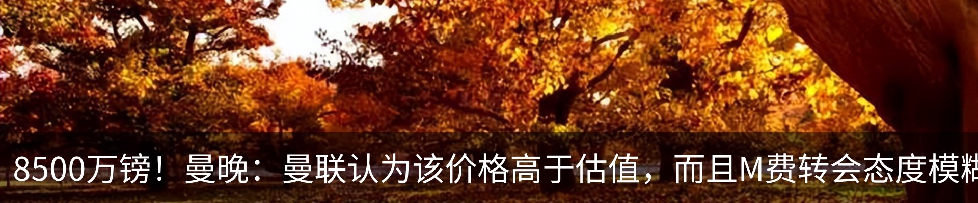 新闻中心