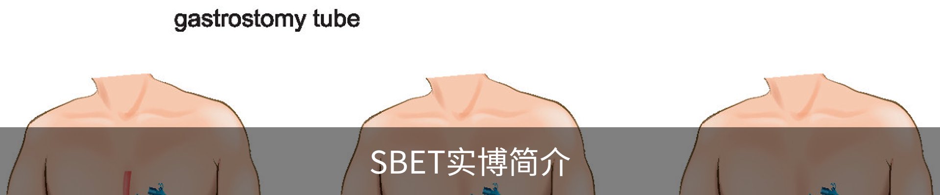 SBET实博简介